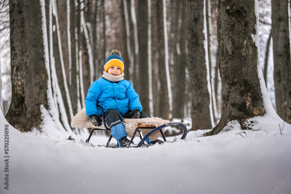 Cute little boy on sled in the winter park. Kid in winter clothes playing in the winter forest