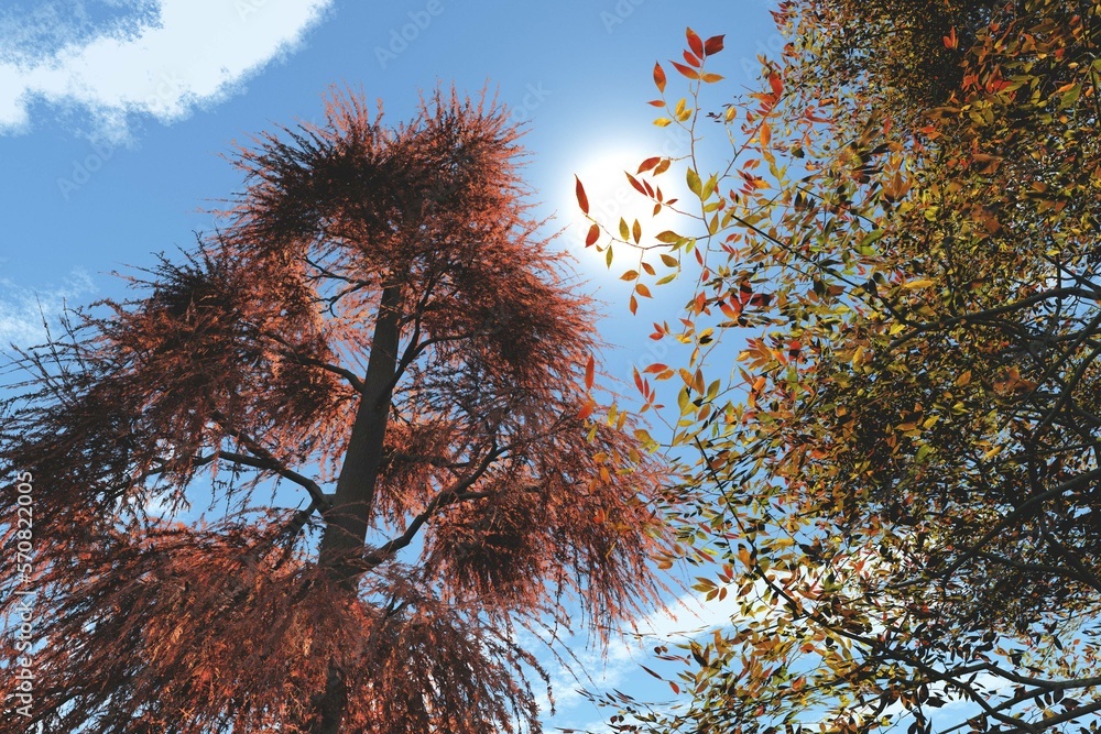 Autumn trees against blue sky with sun, 3d rendering