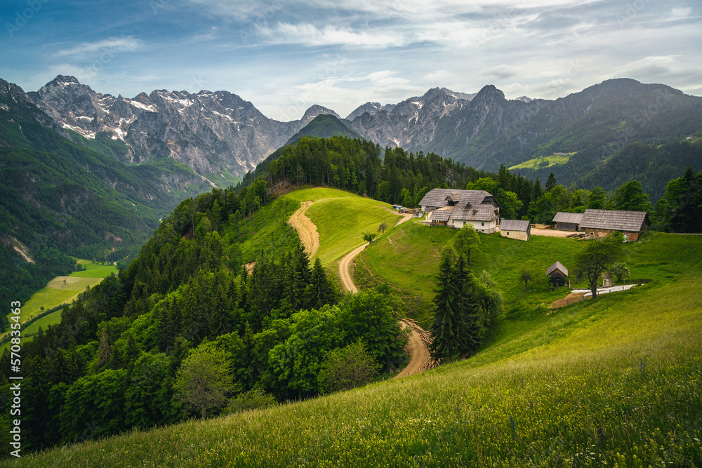 Logar valley view and slopes with colorful wildflowers, Slovenia