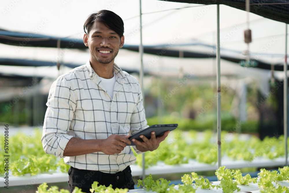 Hydroponic vegetable concept, Young Asian man checking and picking fresh salad in hydroponic farm. i