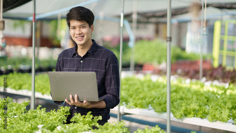 Young modern male farmer using laptop computer to inspect and check the vegetable in the hydroponic 