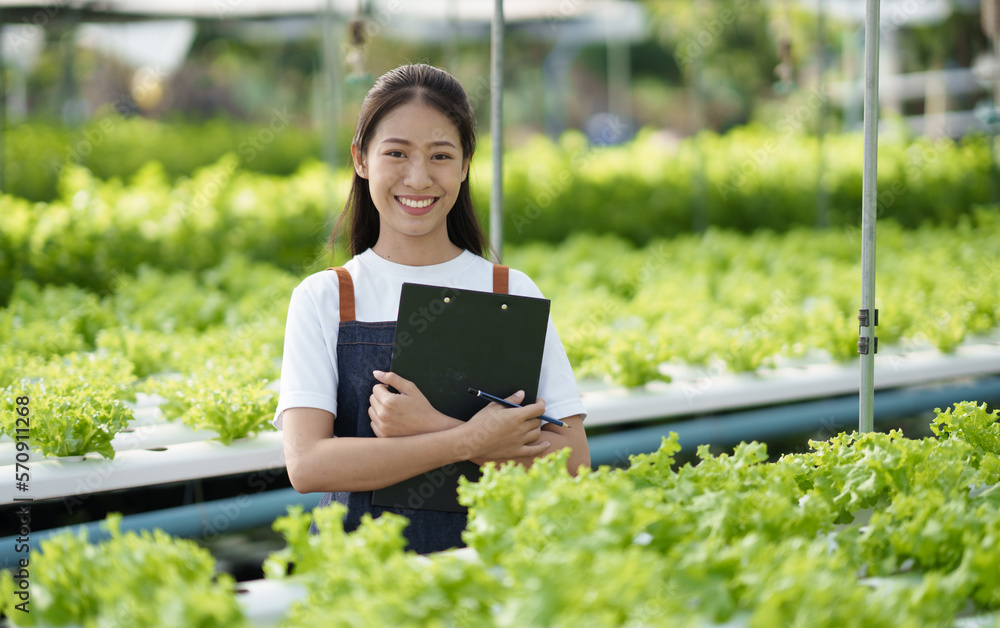 Young adorable Asian farmer working in hydroponic, checking and inspecting the quality of the salad.