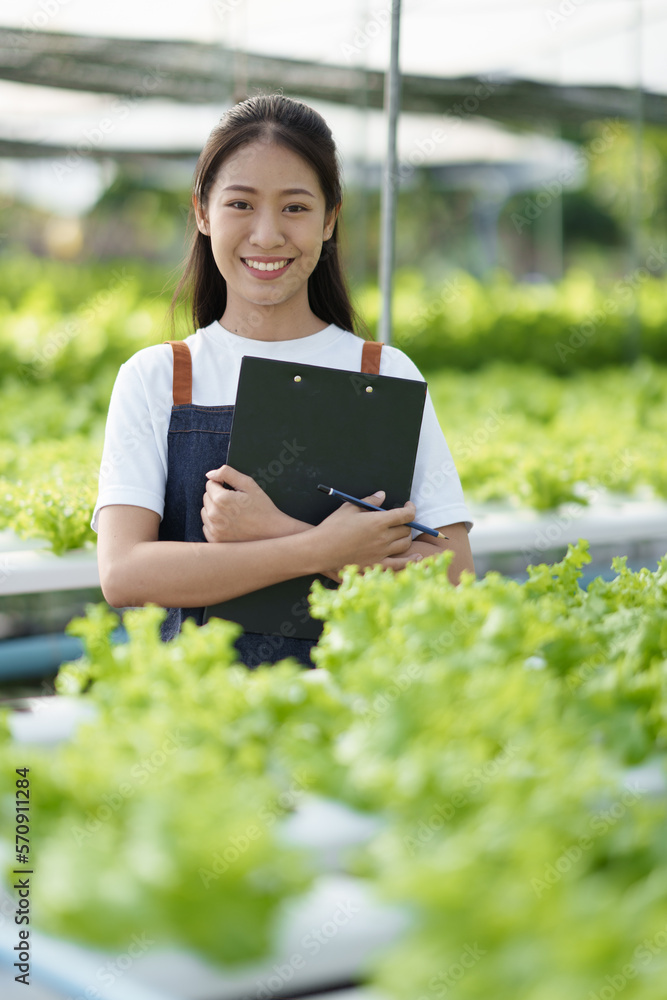 Young adorable Asian farmer working in hydroponic, checking and inspecting the quality of the salad.