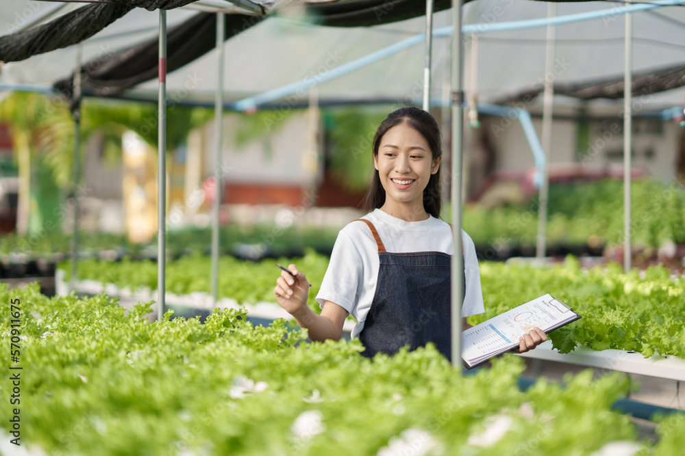 Adorable Asian farm worker checking the salad in the hydroponic farm while holding document, clippin