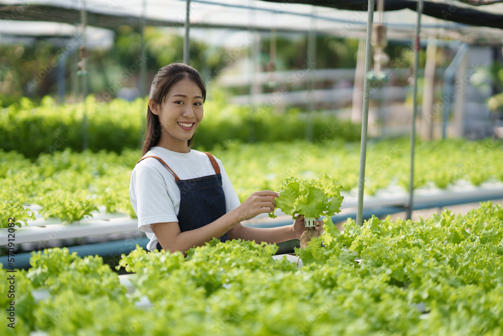 Adorable Asian farm worker checking the salad in the hydroponic farm while holding document, clippin