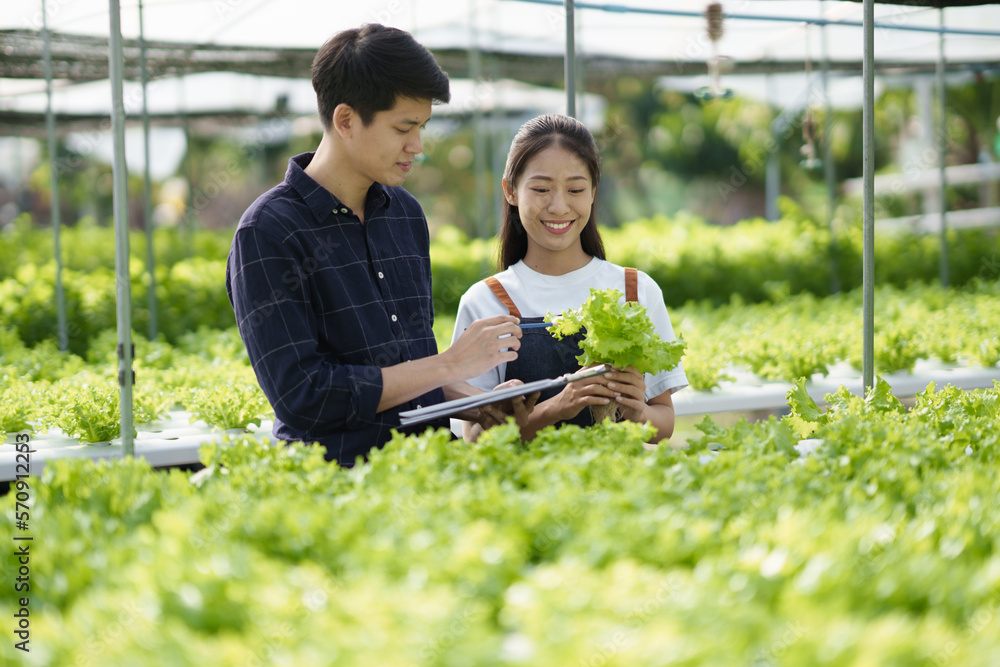 Group of teenage farmer working on an organic farm in a greenhouse. hydroponic farm concept..