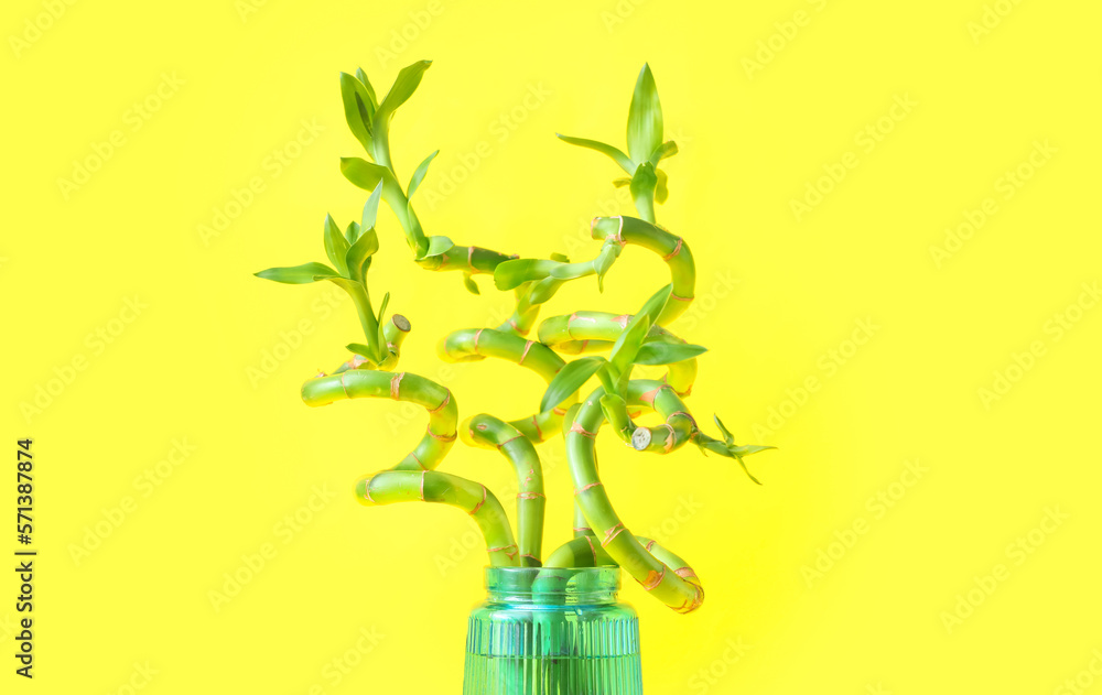 Vase with bamboo branches on yellow background