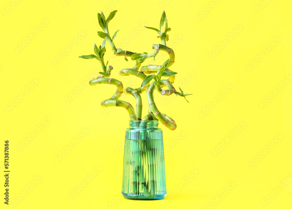 Vase with bamboo branches on yellow background