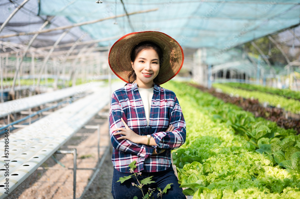 Asian young harvesting in organic farm with digital tablet... Smart farming