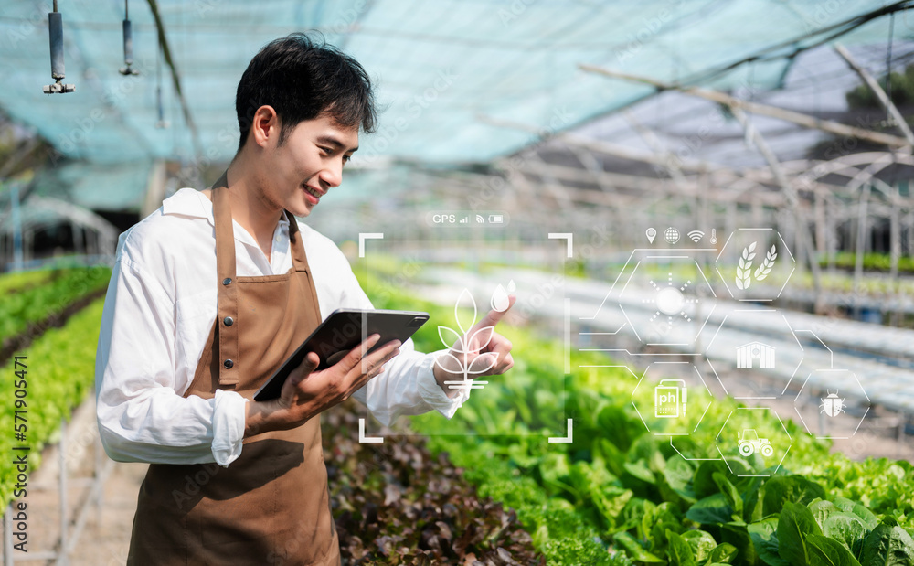  Man hands gardening lettuce in farm  with growth process and chemical formula on green background. 