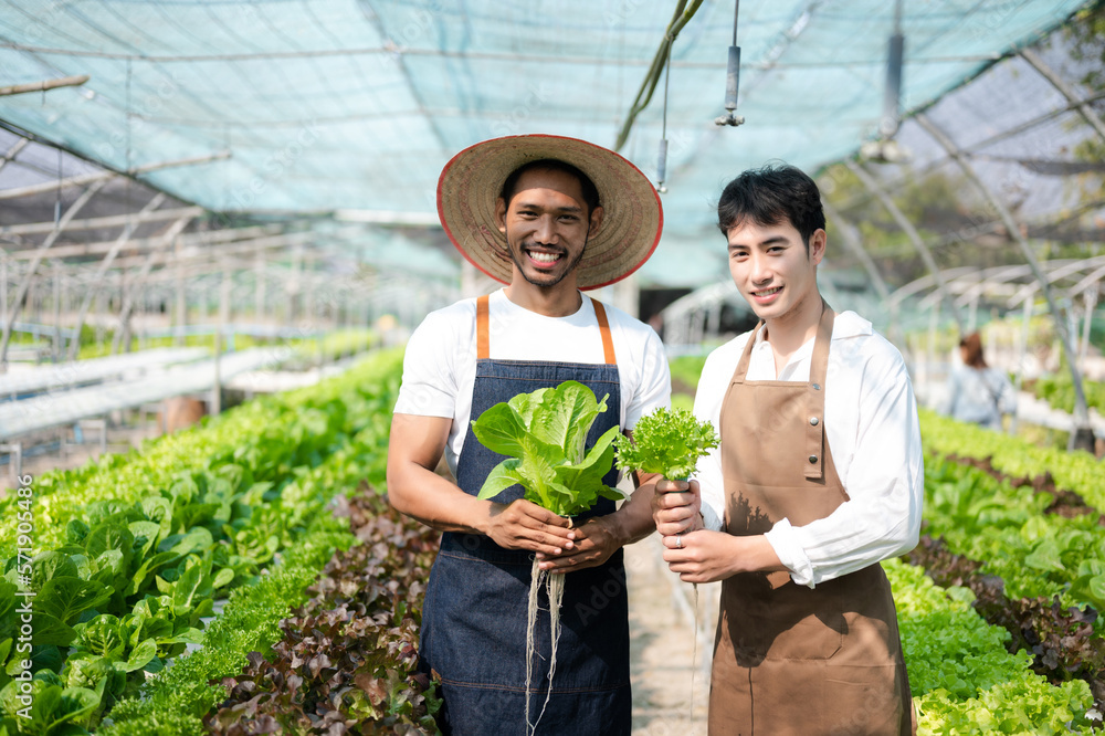 Asian farmer using hand holding tablet and organic vegetables hydroponic in greenhouse plantation. F