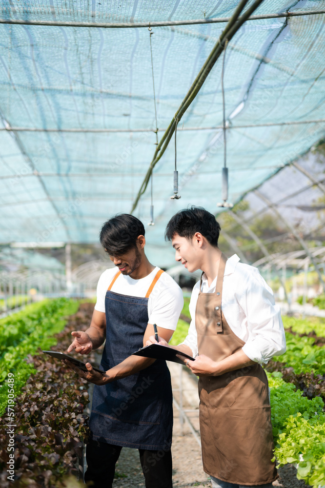 Asian farmer using hand holding tablet and organic vegetables hydroponic in greenhouse plantation. F