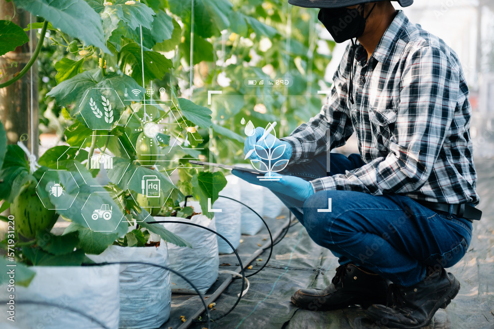 Smart farmer using application by tablet concepts modern vegetables and tomato at greenhouse. and vi