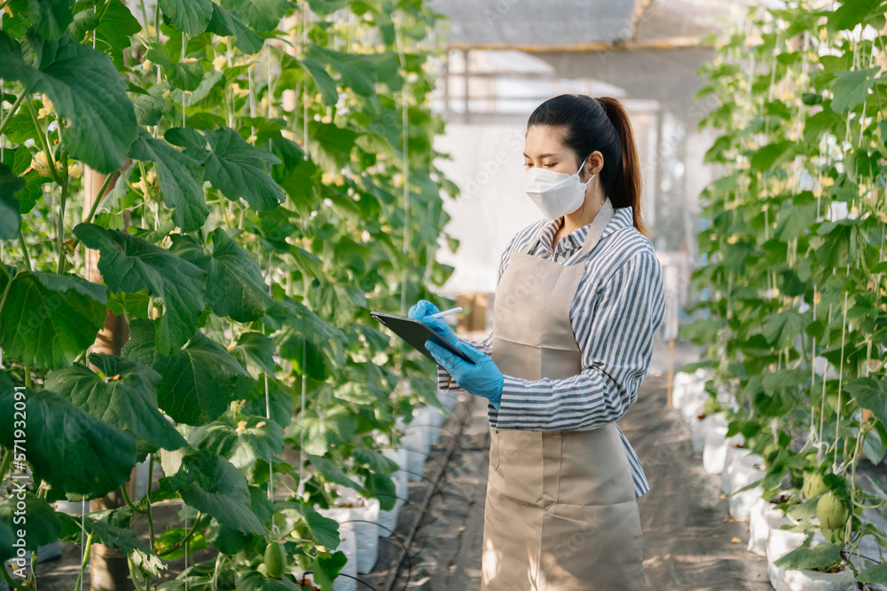 Asian Farmer woman using digital tablet computer in greenhouse, Farmers working in smart farming