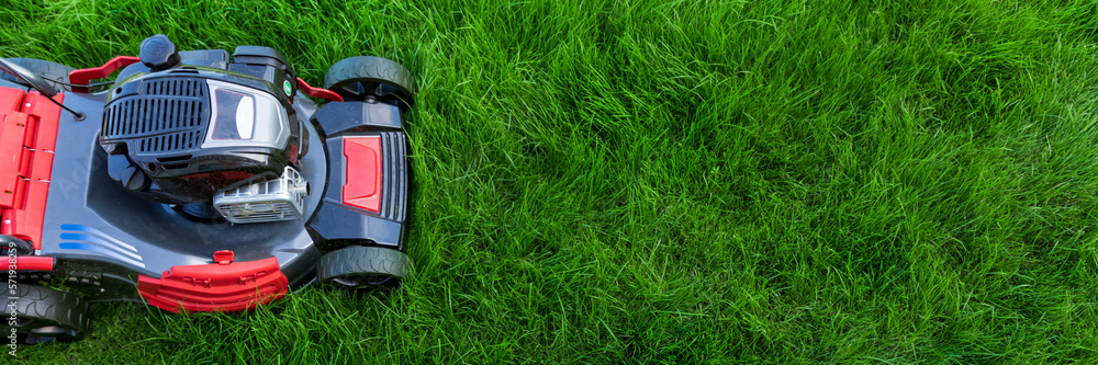 Lawn mower cutting green grass in backyard, mowing lawn