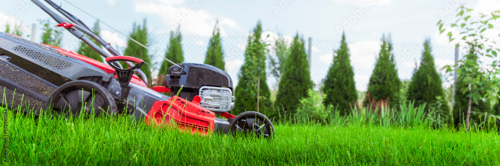 Close up view of lawn mower cutting grass on sunny summer day