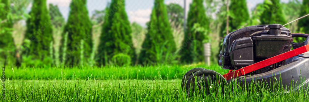 Close up view of lawn mower cutting grass on sunny summer day