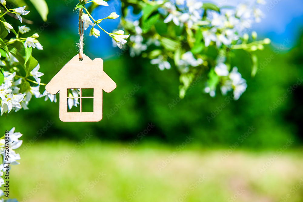 Symbol of the house on the branches of a flowering jasmine 