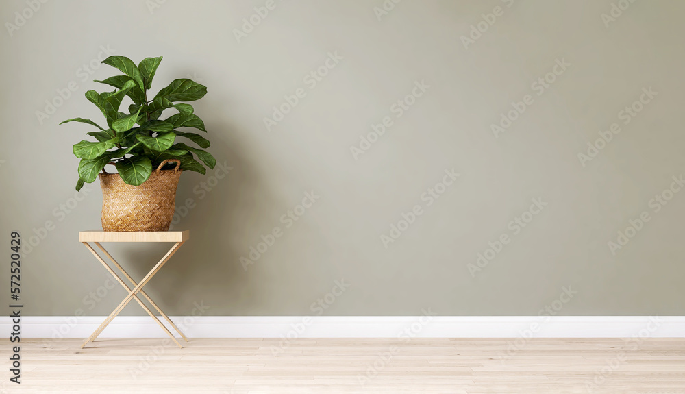 Clean, blank sage green wall with tropical Indian fig tree in rattan basket, wooden stand on brown p