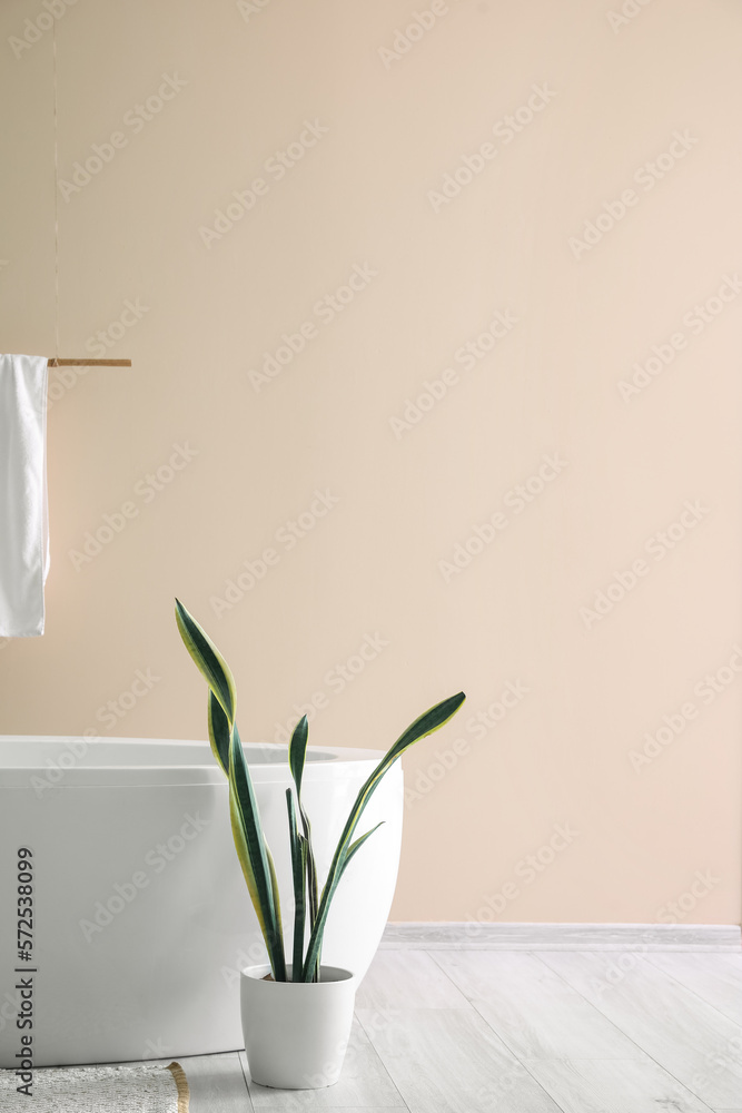 Modern bathtub with towel and houseplant near pink wall