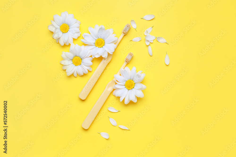 Composition with toothbrushes and chamomile flowers on yellow background