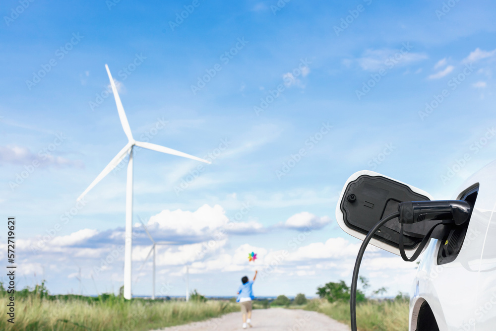 Progressive young asian boy playing with wind pinwheel toy in the wind turbine farm, green field ove