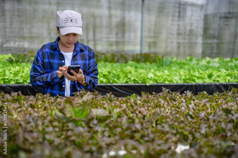 farmer woman caring Hydroponics vegetable plot, organic vegetables