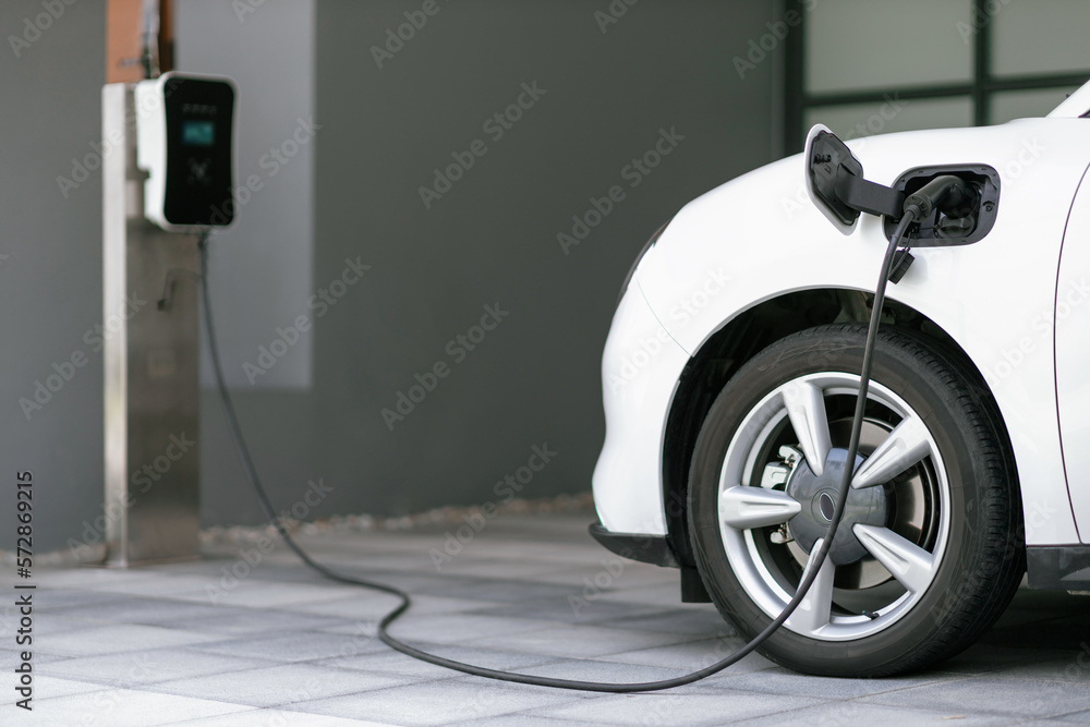 Progressive concept of EV car and home charging station powered by sustainable and clean energy with