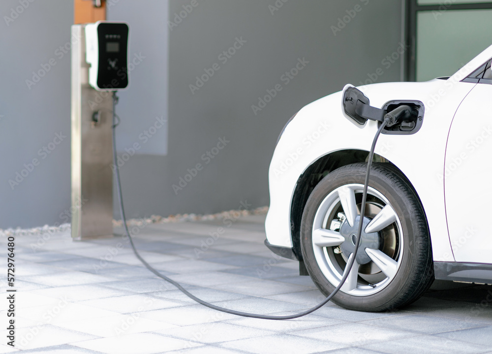 Progressive concept of EV car and home charging station powered by sustainable and clean energy with