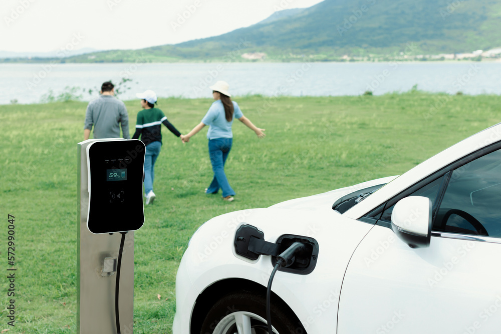 Concept of progressive happy family enjoying their time at green field and lake with electric vehicl