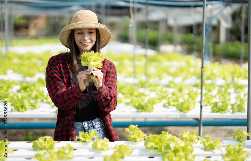 Young caucasian female farmer with Hydroponic organic lettuce and salad plant farm modern agricultur