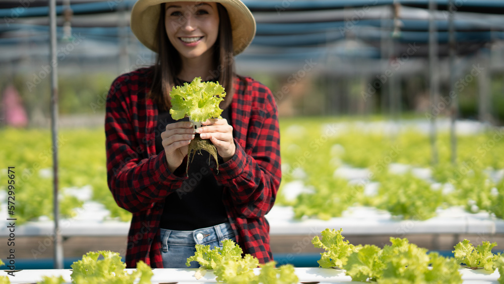 Young caucasian female farmer with Hydroponic organic lettuce and salad plant farm modern agricultur