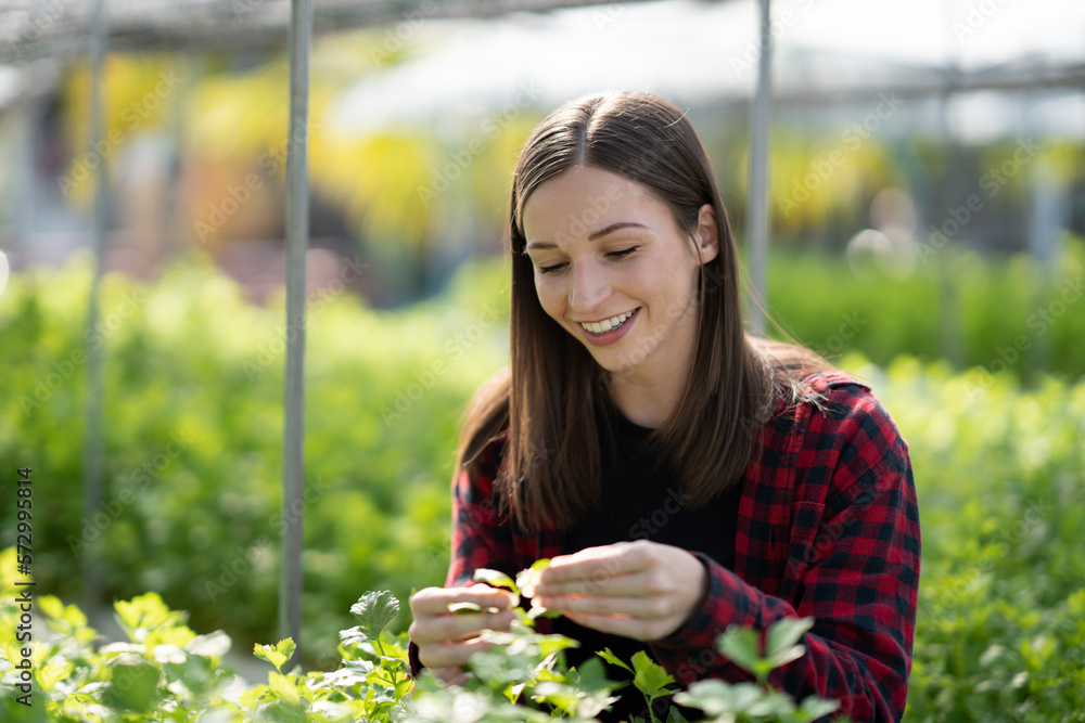 Portrait of young caucasian working in vegetables hydroponic farm with happiness.