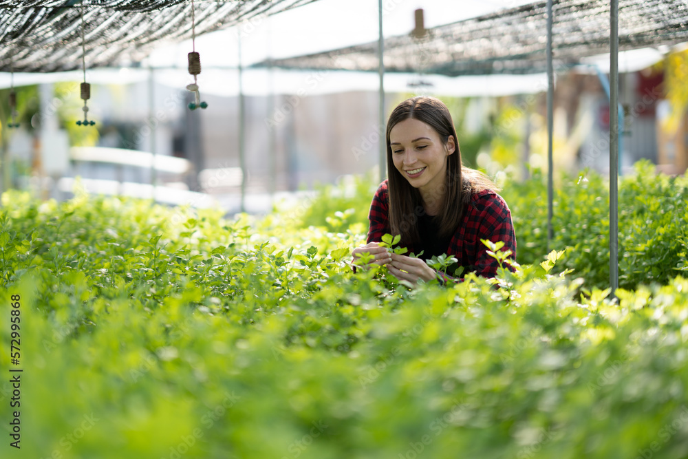 Portrait of young caucasian working in vegetables hydroponic farm with happiness.