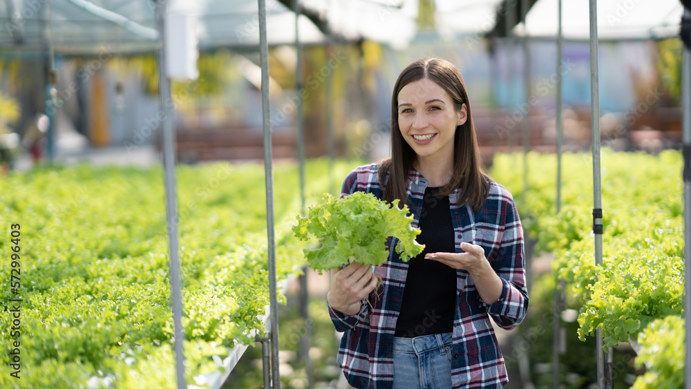 Young caucasian female farmer with Hydroponic organic lettuce and salad plant farm modern agricultur