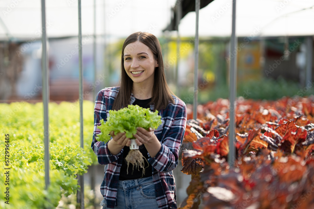 Young caucasian female farmer with Hydroponic organic lettuce and salad plant farm modern agricultur