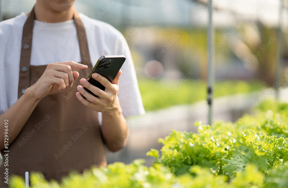 Young male famer using his mobile phone while working in the green vegtable hydroponics farm.