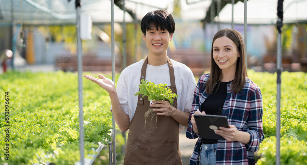 Young professional farm worker discussing and working together in green salad hydroponics farm.