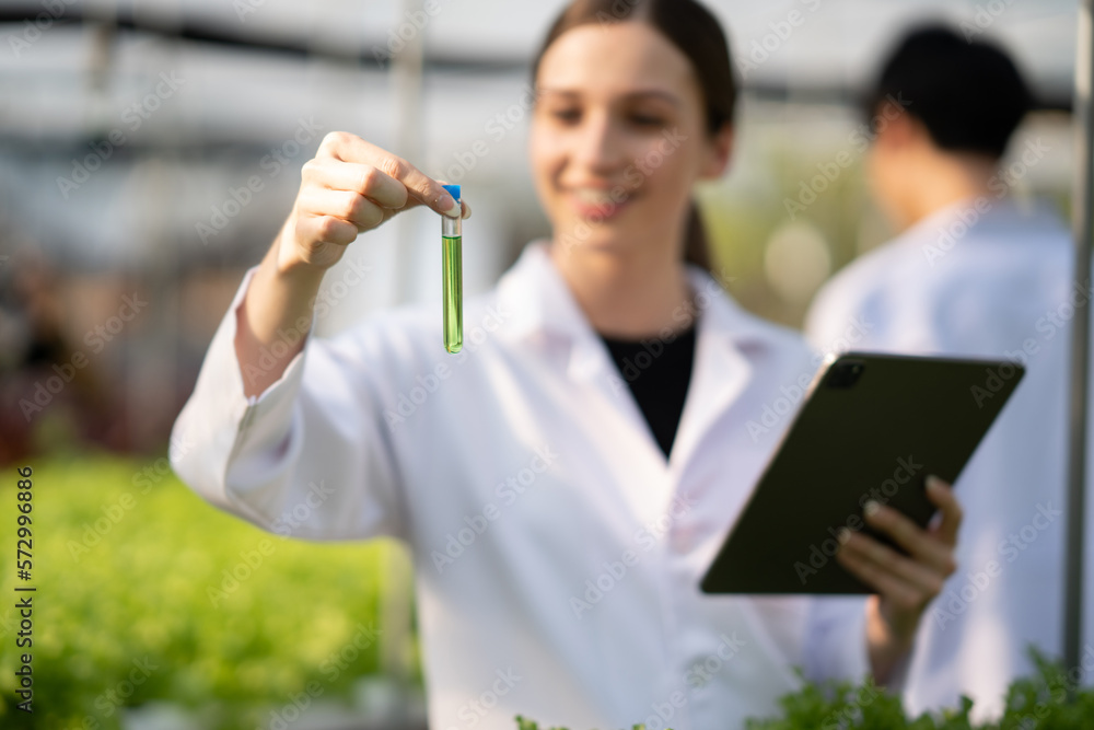 Young beautiful scientist looking at a mineral and water sample at a hydroponic.lettuce crop, holdin