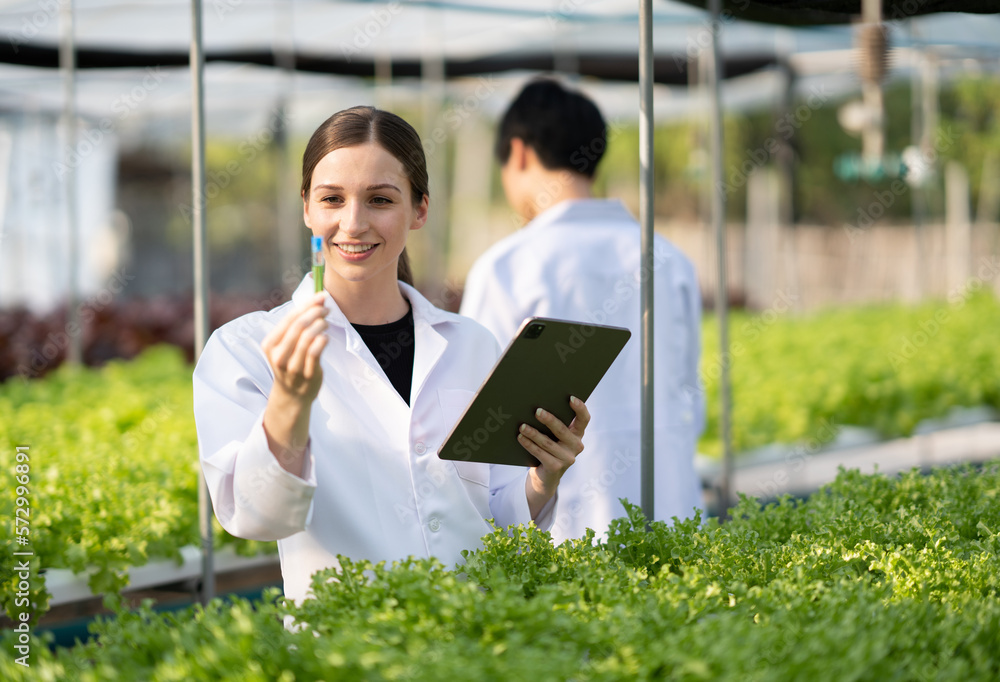 Young beautiful scientist looking at a mineral and water sample at a hydroponic.lettuce crop, holdin