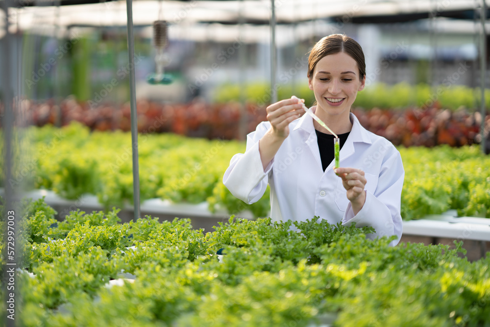 Female scientist examining a plants in greenhouse farm. scientists holding equipment for research pl