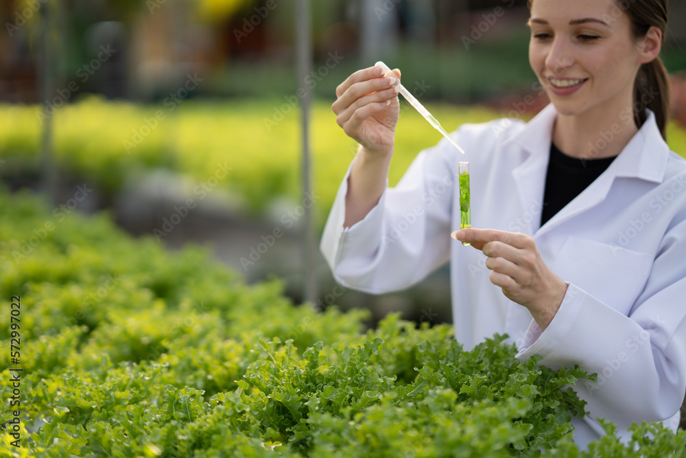 Female scientist examining a plants in greenhouse farm. scientists holding equipment for research pl