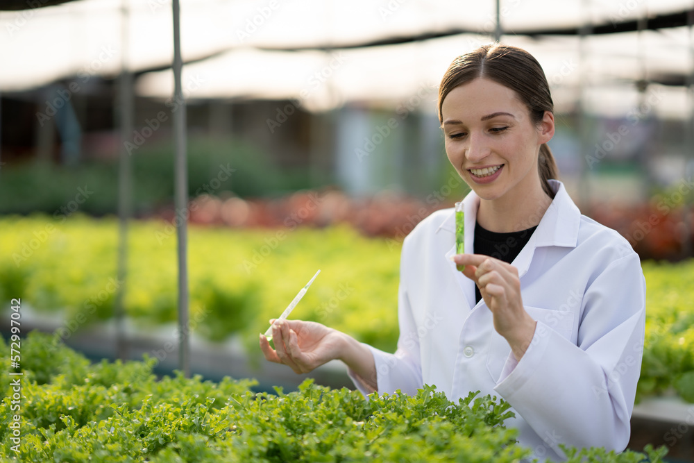 Female scientist examining a plants in greenhouse farm. scientists holding equipment for research pl