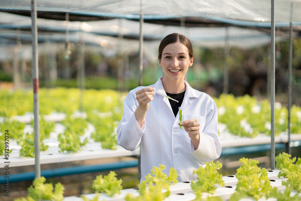 Female scientist examining a plants in greenhouse farm. scientists holding equipment for research pl