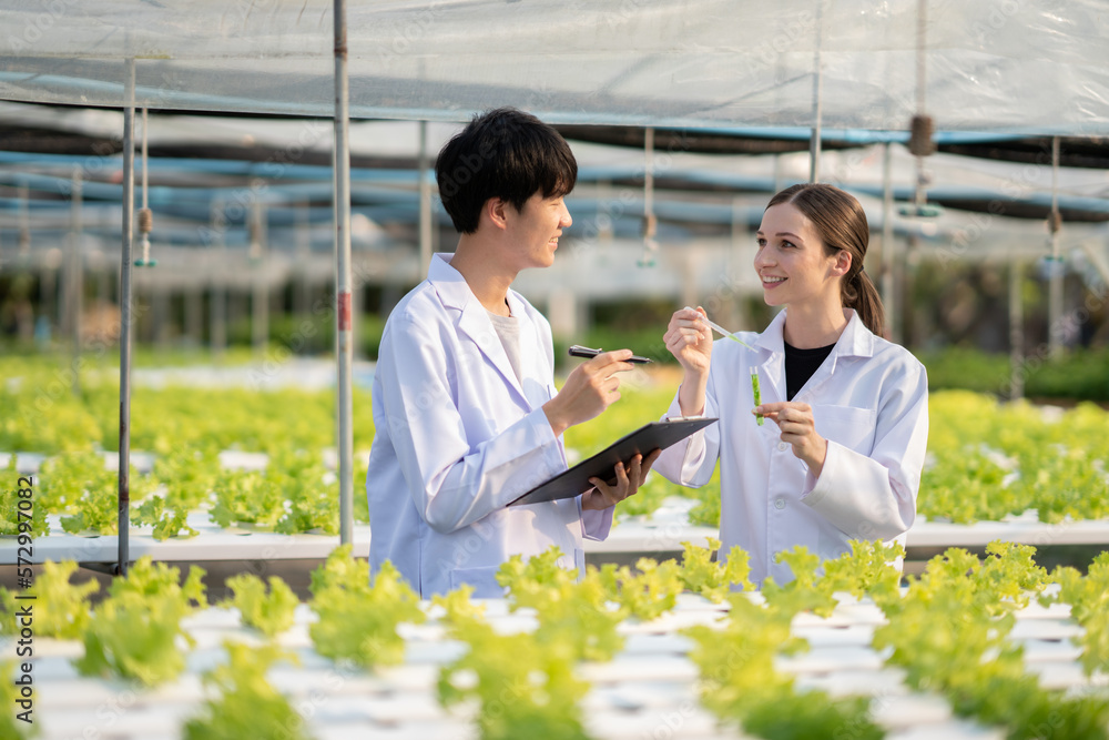 Young expert scientist team working together, discussing and checking the quality of the hydroponics