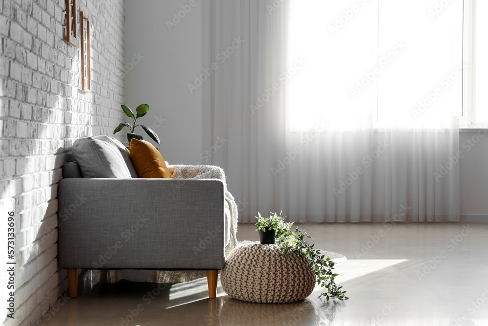 Interior of living room with grey couch and houseplants