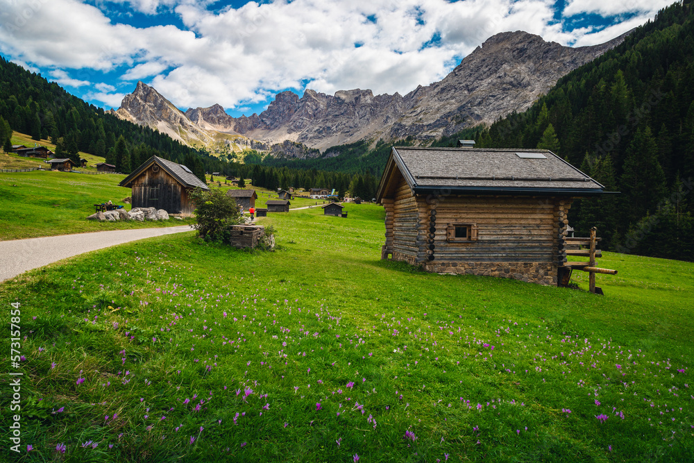 Wooden huts and flowery green fields, San Nicolo valley, Dolomites