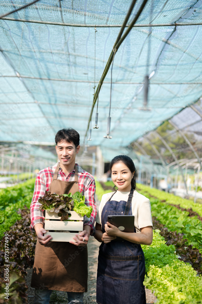 Asian farmer using hand holding tablet and organic vegetables hydroponic in greenhouse plantation. F