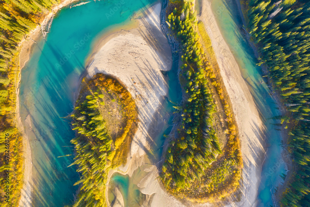 A drone view of the river in the woods. An aerial view of an autumn forest. Winding river among the 