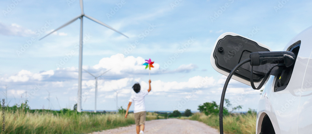 Progressive young asian boy playing with wind pinwheel toy in the wind turbine farm, green field ove